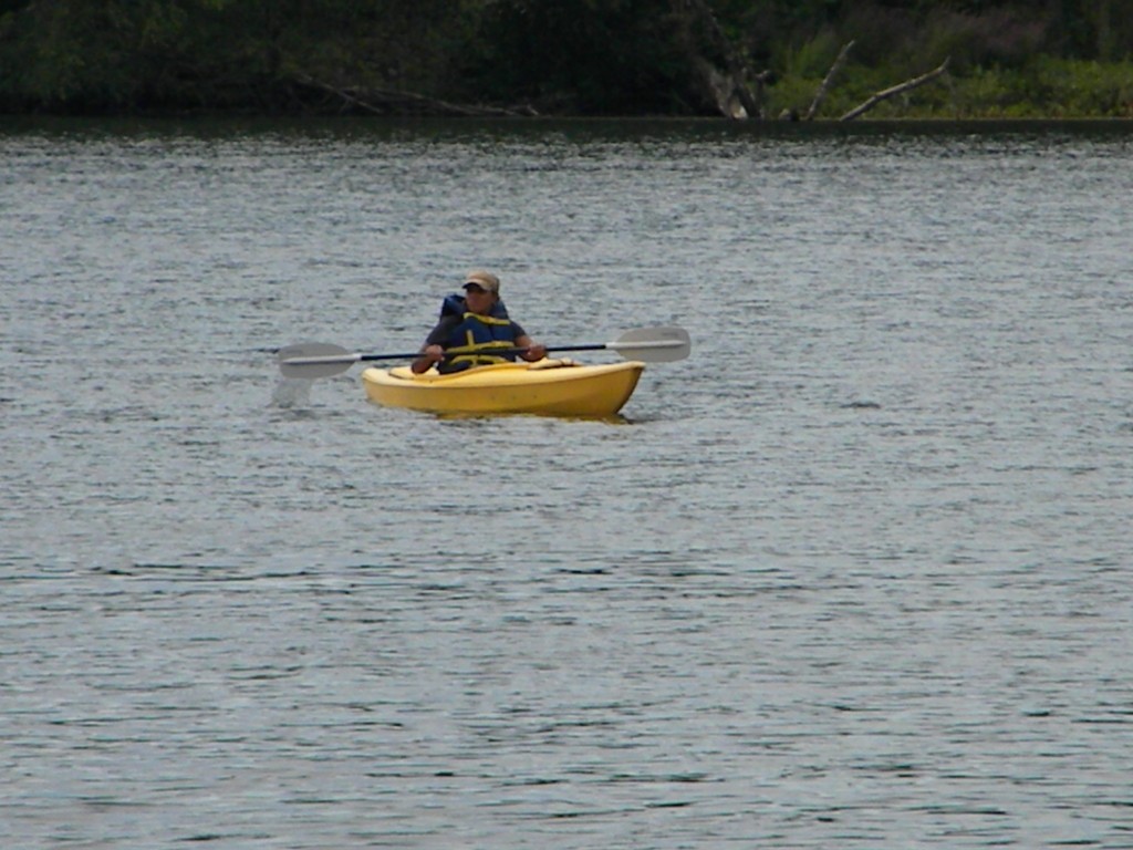 Kayaker