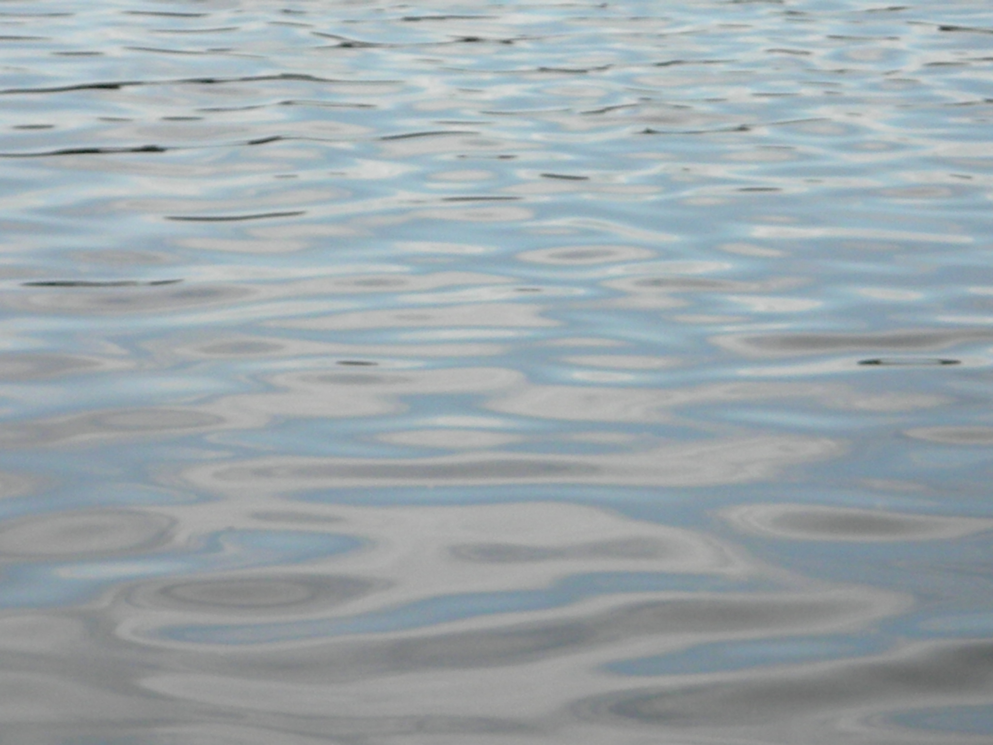 Blue Surface