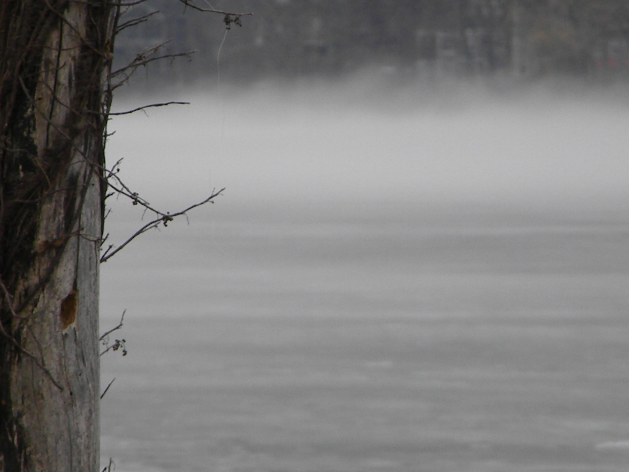 Fog Rolling In