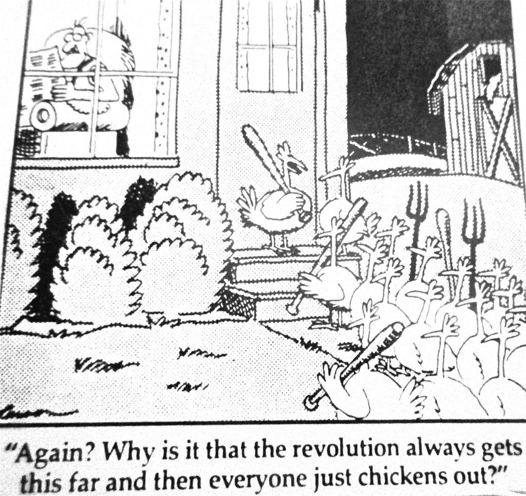 Cartoon Again Why Is It That The Revoulation Always Get This Far And Than Everyone Just Chiken Out