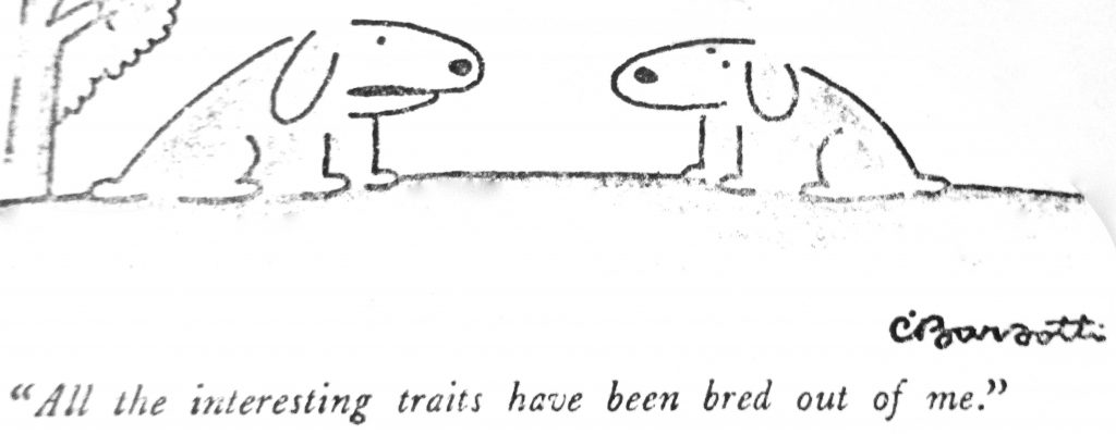 Cartoon All The Intersting Traits Have Been Bred Out Of Me