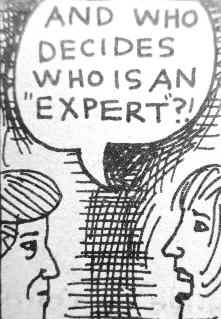 Cartoon And Who Decides Who Is An Expert