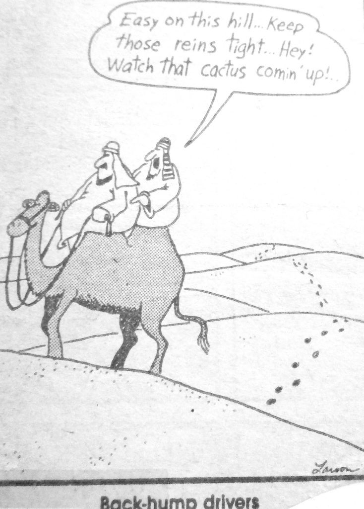 Cartoon Back Hump Drivers