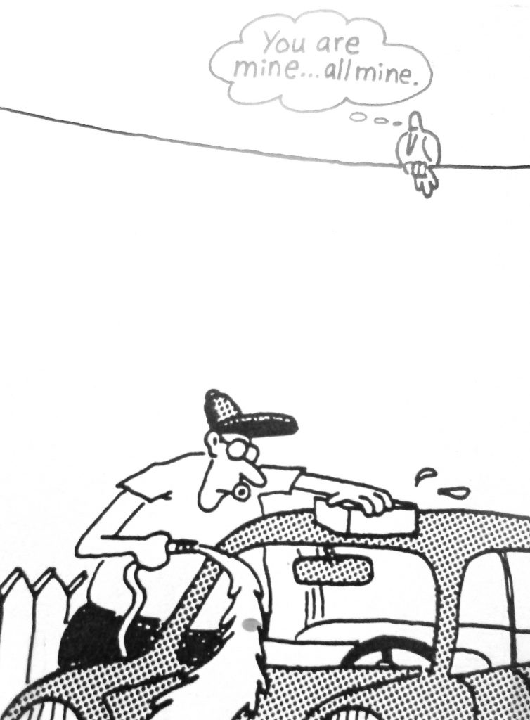 Cartoon Car ma