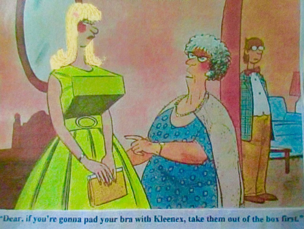 Cartoon Dear If YouRe Gonna Pad Your Bra With Kleenes Take Them Out Of The Box First