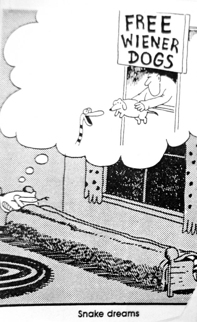 Cartoon Free Winner Dogs
