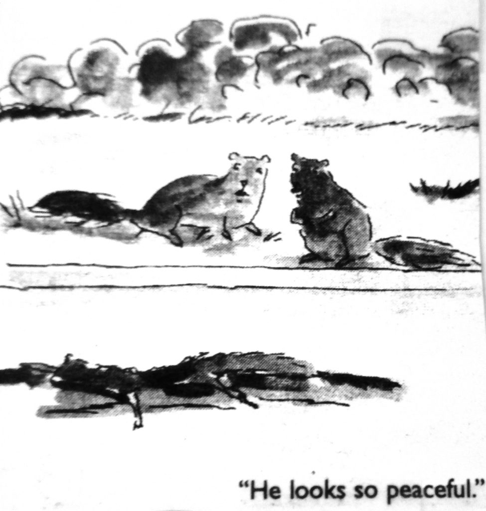 Cartoon He Looks So Peaceful