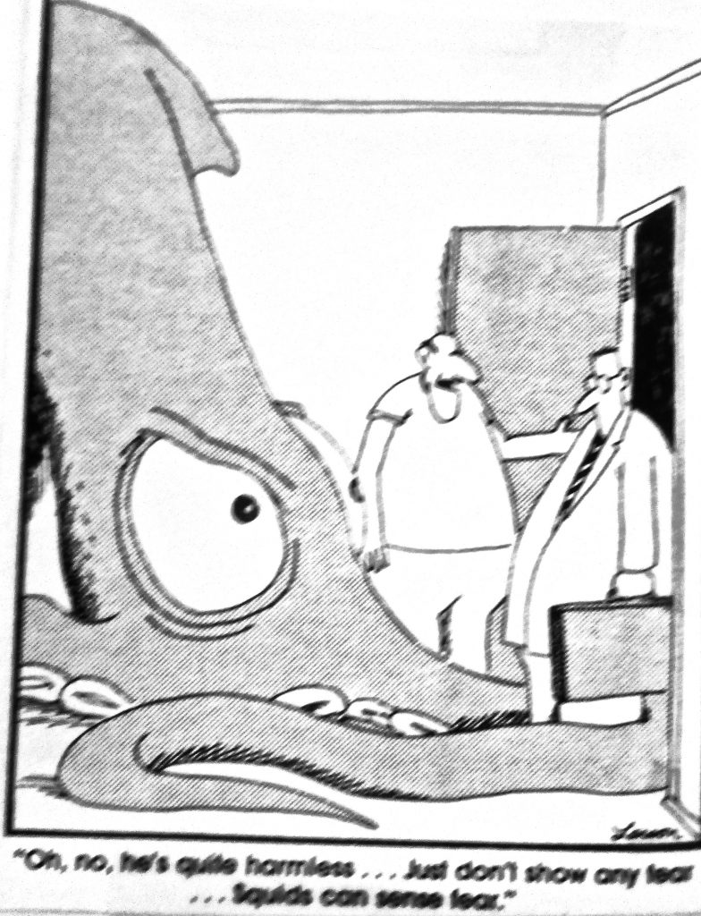 Cartoon Hes Quite Harrless Just Dont Show Any Fear