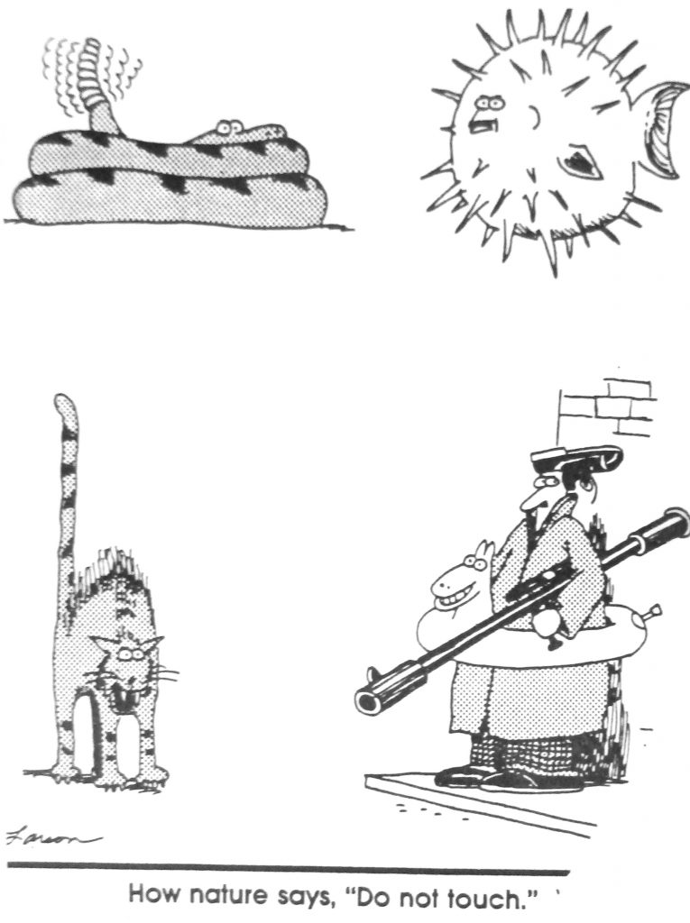 Cartoon How Nature Says Do Not Touch 2
