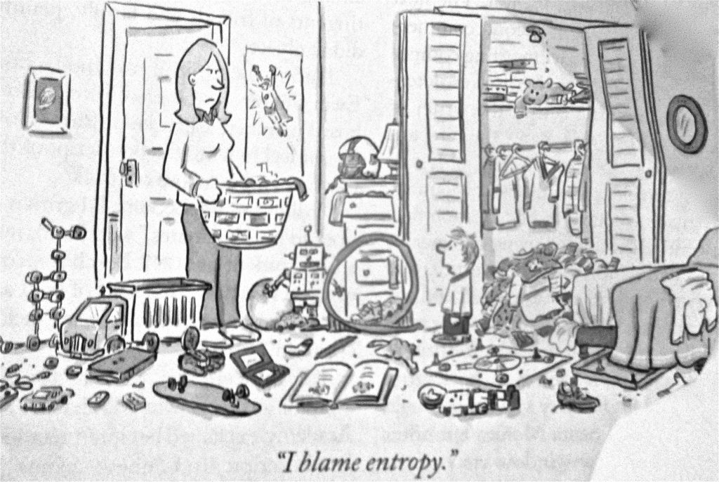 Cartoon I Blame Entropy