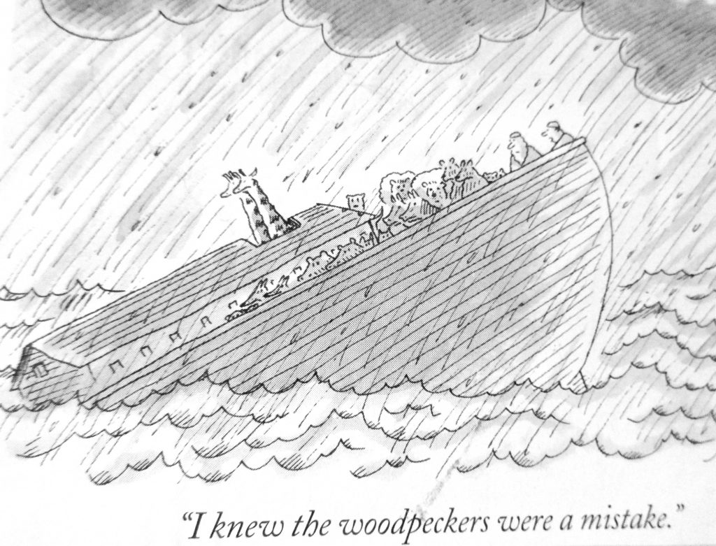 Cartoon I Know The Wood Peckers Were A Mistake