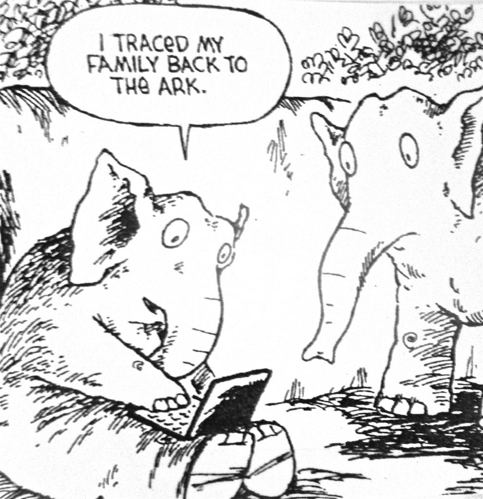 Cartoon I Traced My Family Back To The Ark