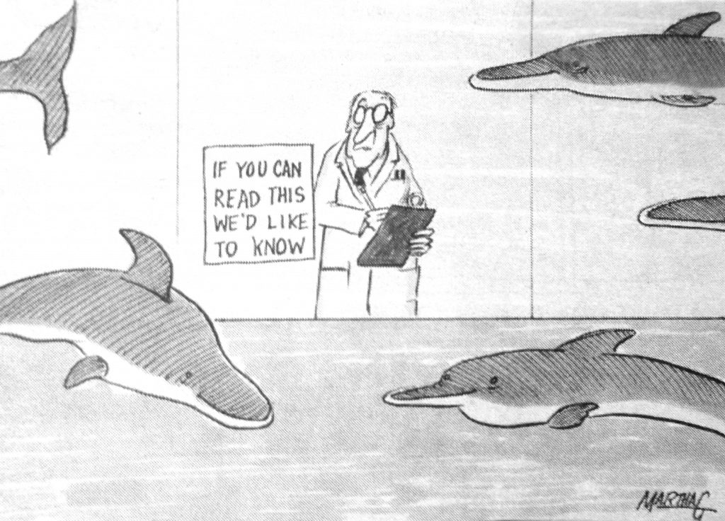 Cartoon If We Can Read This WeD Like To Know