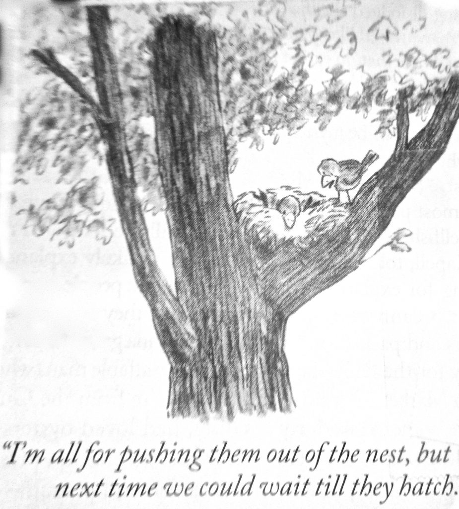 Cartoon Im All For Pushing Them Out Of The Nest But Next Time We Could Wait Till They Hatch