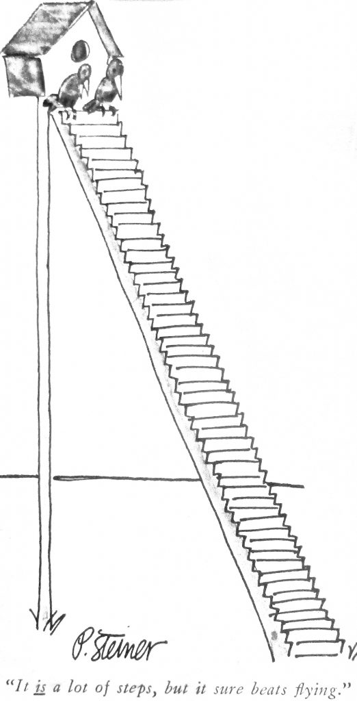 Cartoon It Is Alot Of Steps But It Shoure Beats Flying