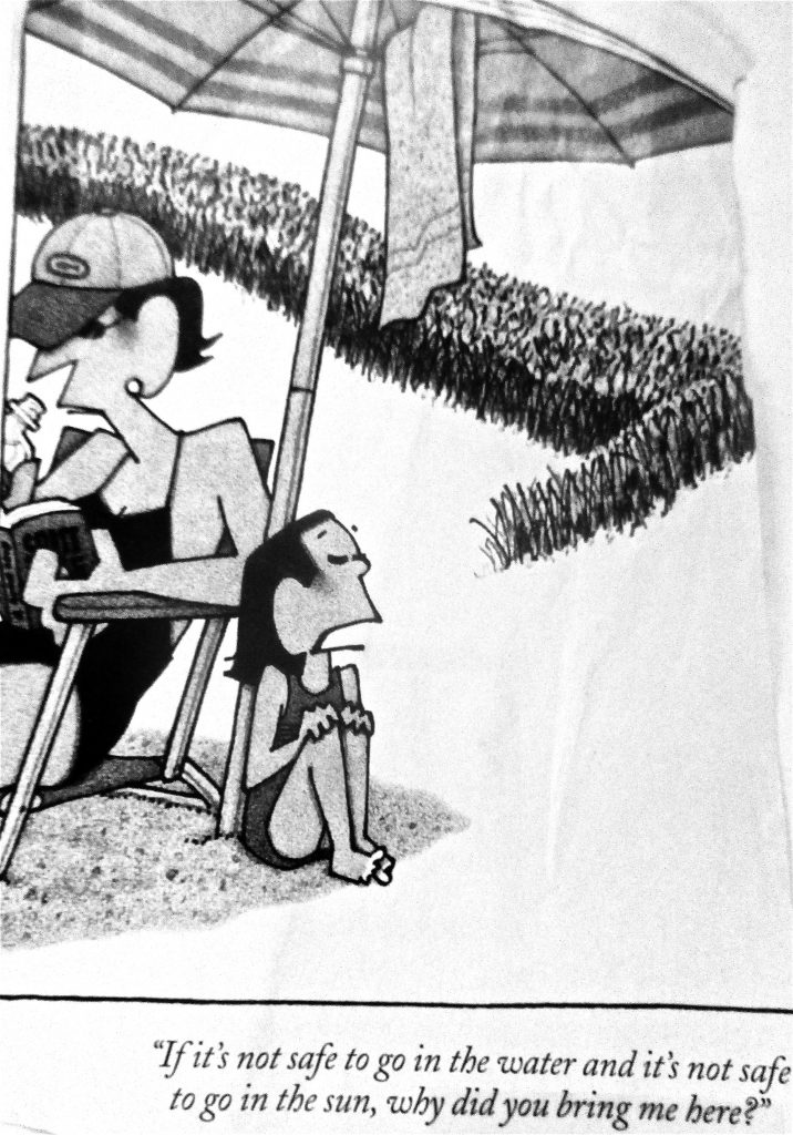 Cartoon It Is Not Safe To Go In The Waterand Its Not Safe To Go In The Sun Why Did You Bring Me Here