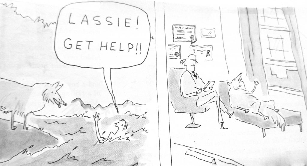 Cartoon Lassie Get Help