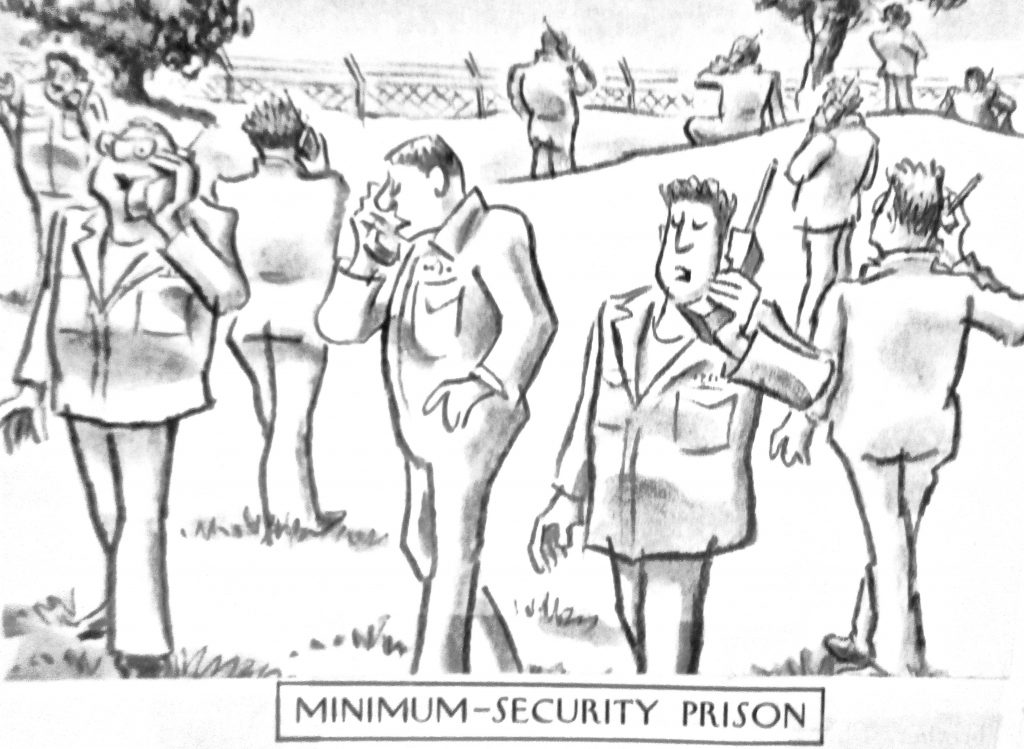 Cartoon Minmum Security Prison