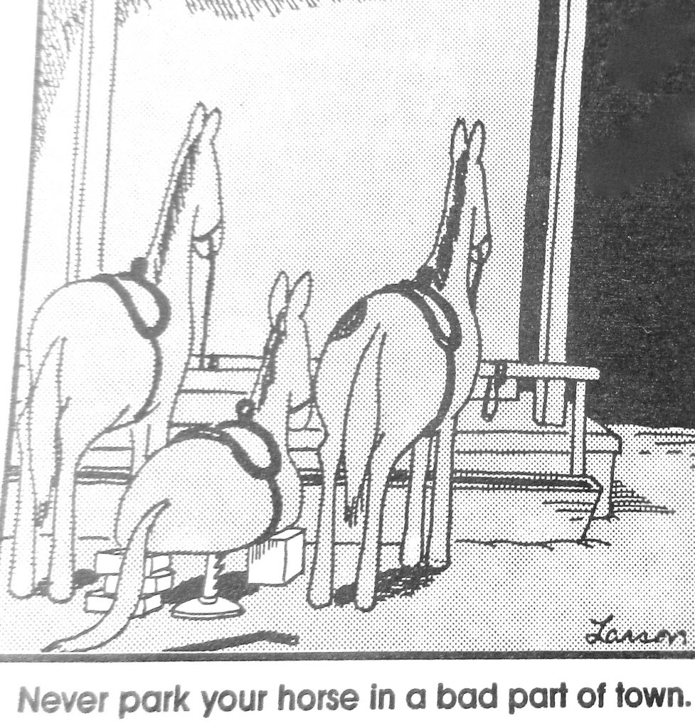 Cartoon Never Park Your Horse In A Bad Part Of town