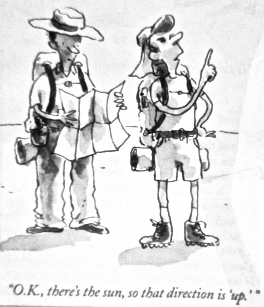 Cartoon O