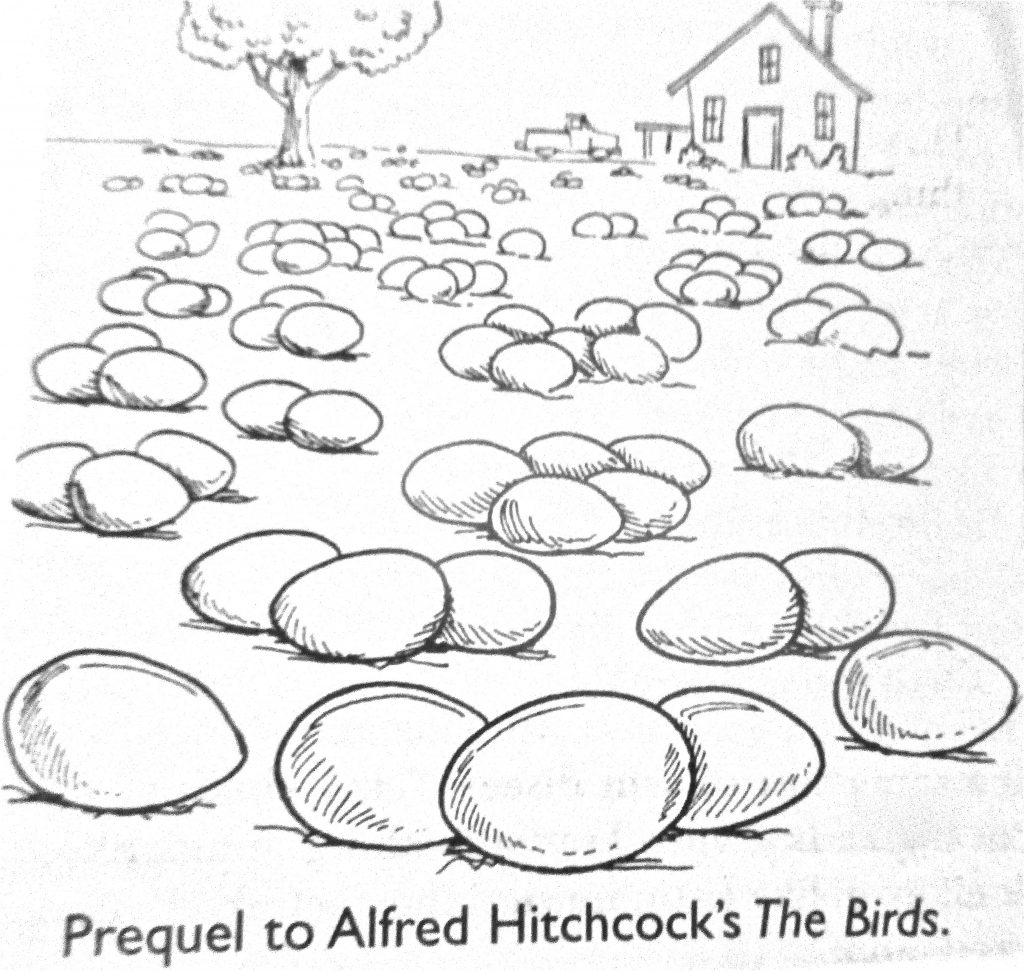 Cartoon Prequel To Alferd Hitchcocks The Birds