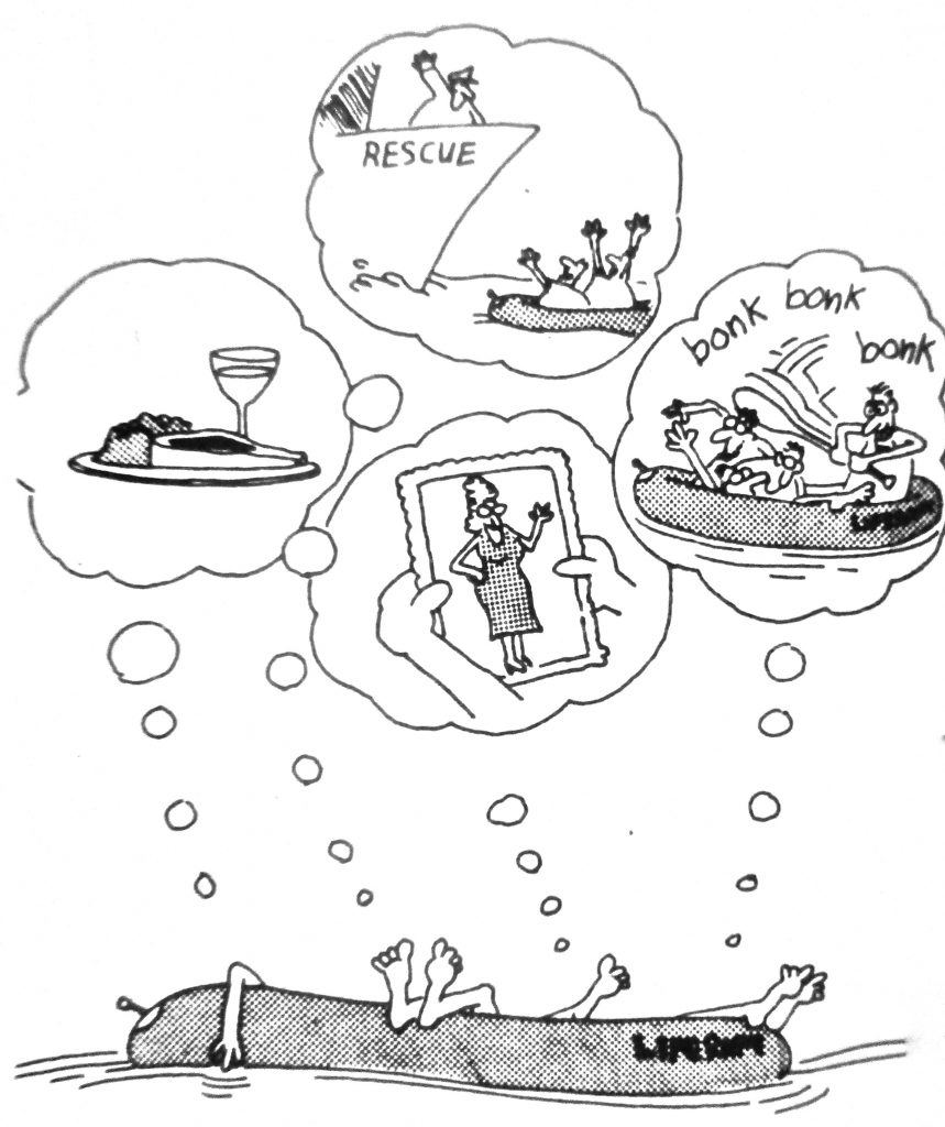 Cartoon Rescue Book Book