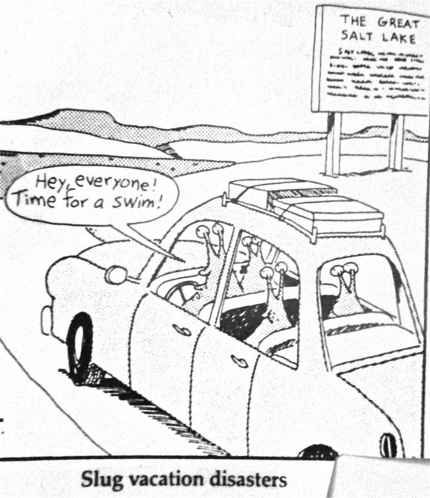 Cartoon Slug Vacation Disasters