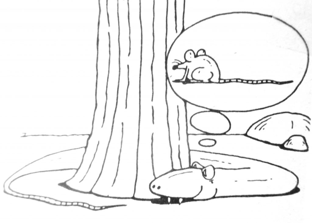 Cartoon Snake