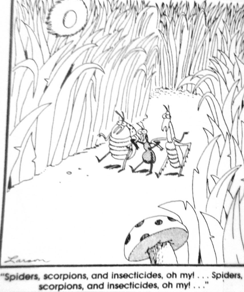 Cartoon Spiders Acorpions And Insecticides Oh My Spiders