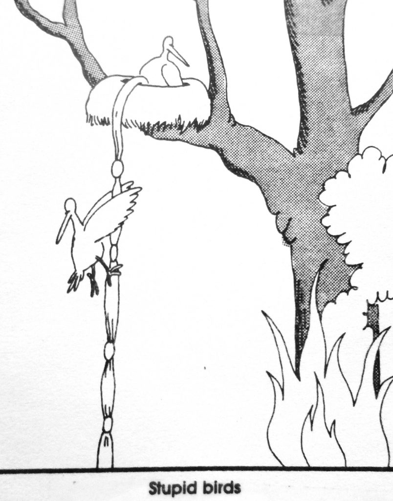 Cartoon Stupid Birds