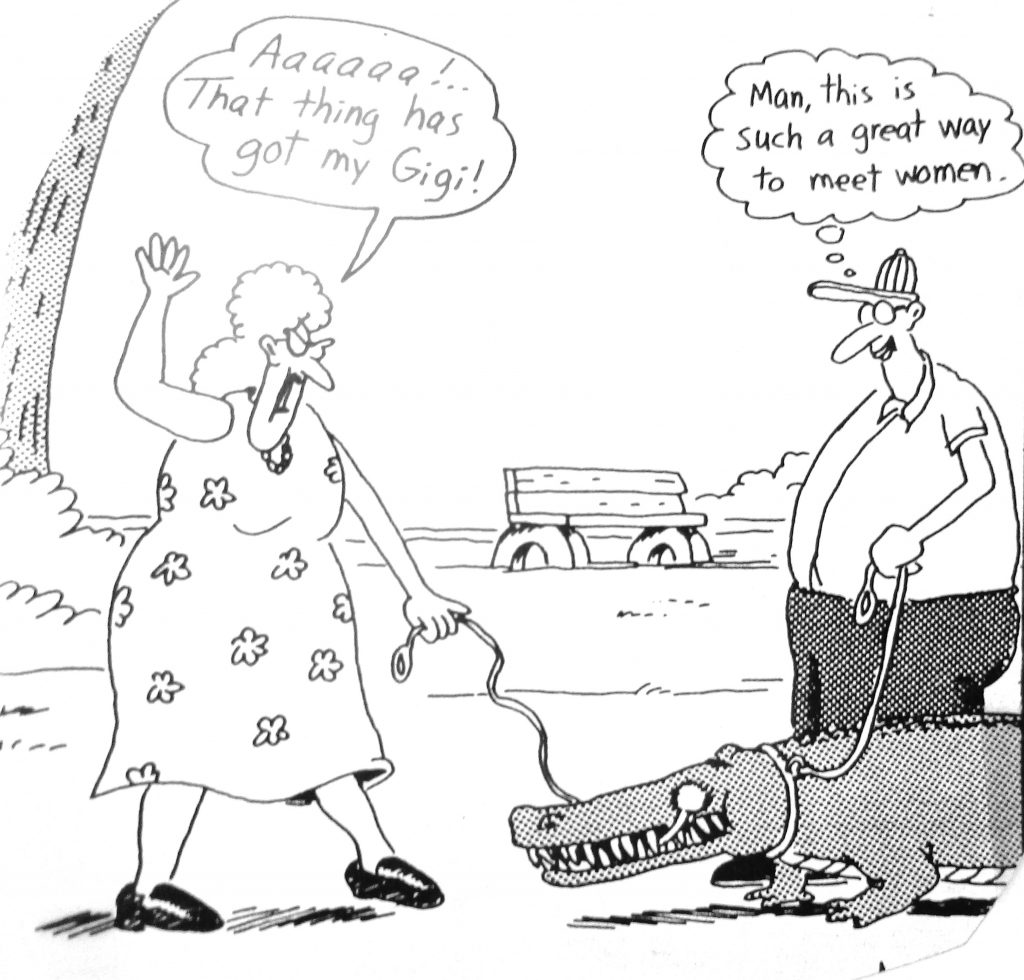 Cartoon That Thing Has Got My Gig