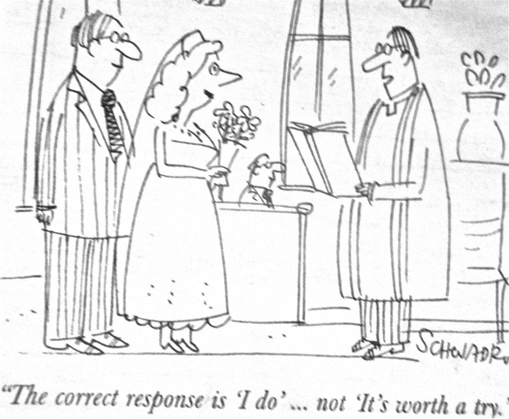 Cartoon The Correct Response Is I Do Not Its Worth A Try