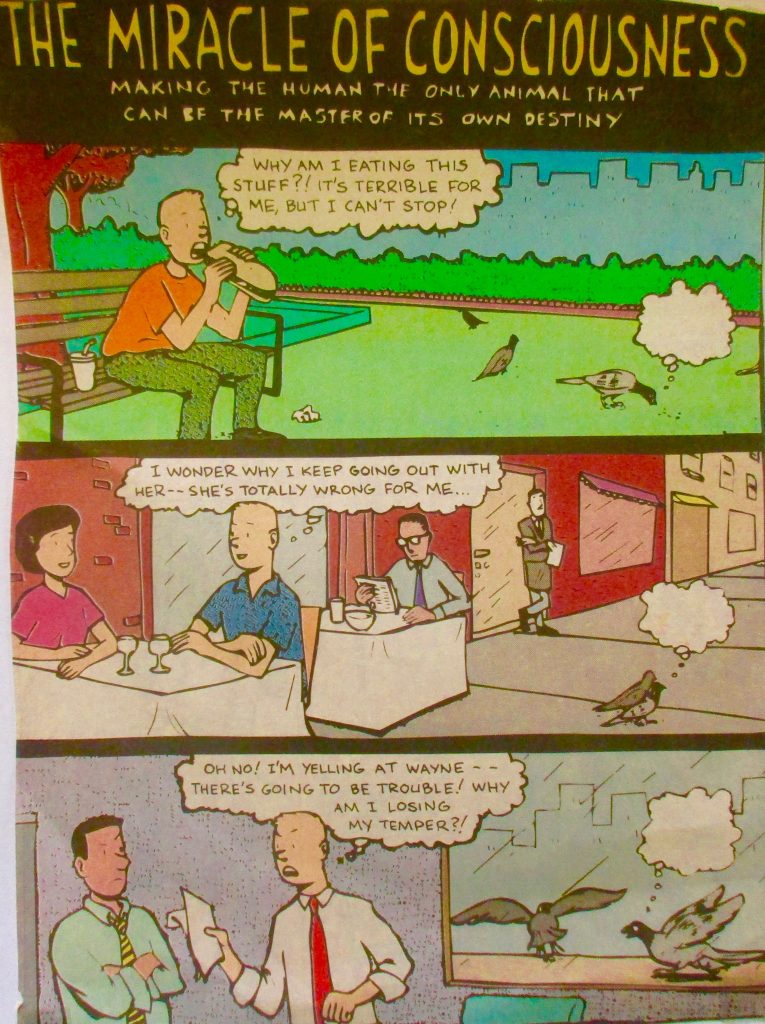 Cartoon The Miracle Of Consciousness