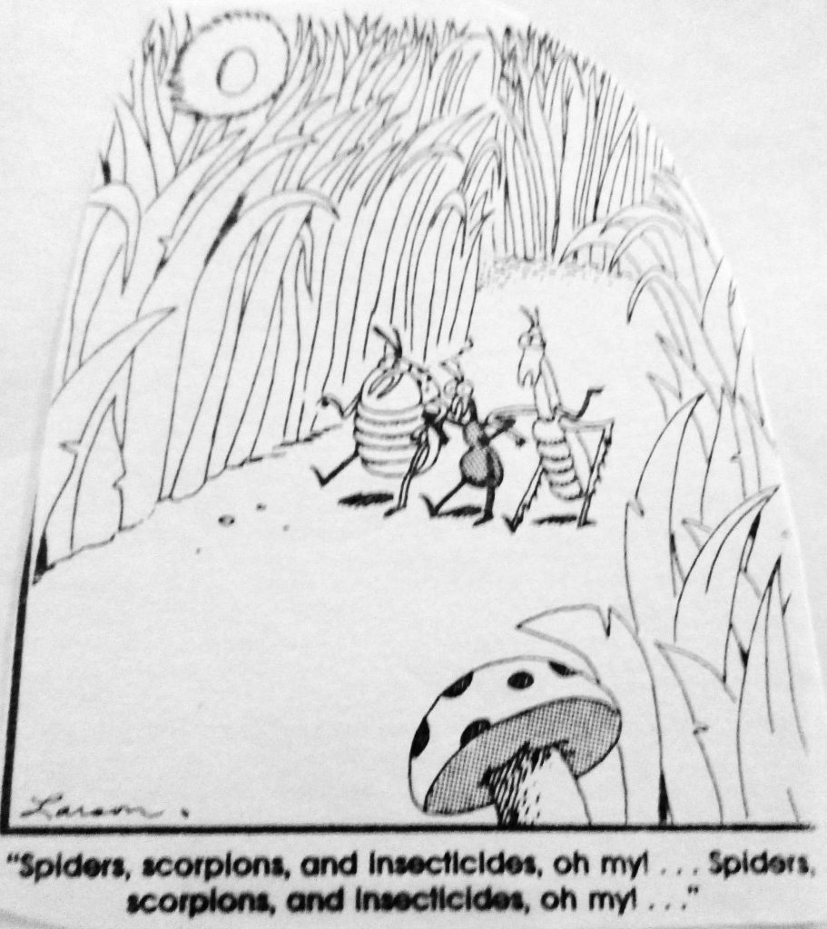 Cartoon The Wizard of Bugs