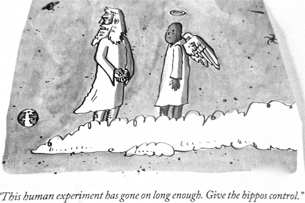 Cartoon This Human Experiment Has Gone On Long Enough Give The Hippos Control