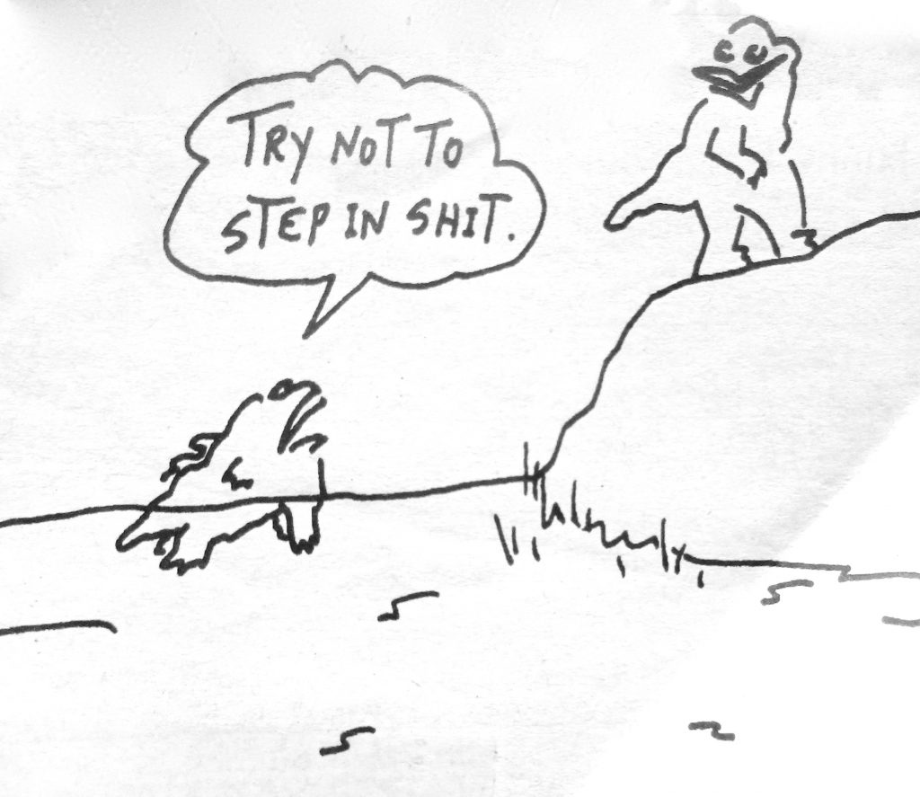 Cartoon Try Not To Step In Shit