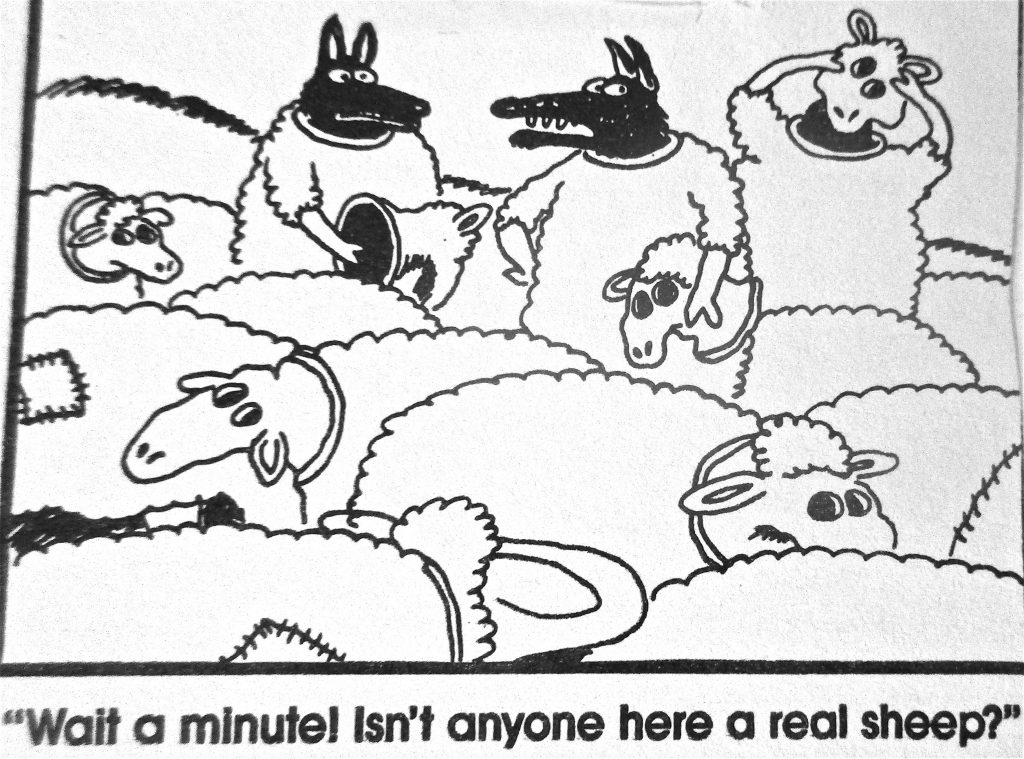 Cartoon Wait A Minutel Isnt Anyone Here A Real Sheep