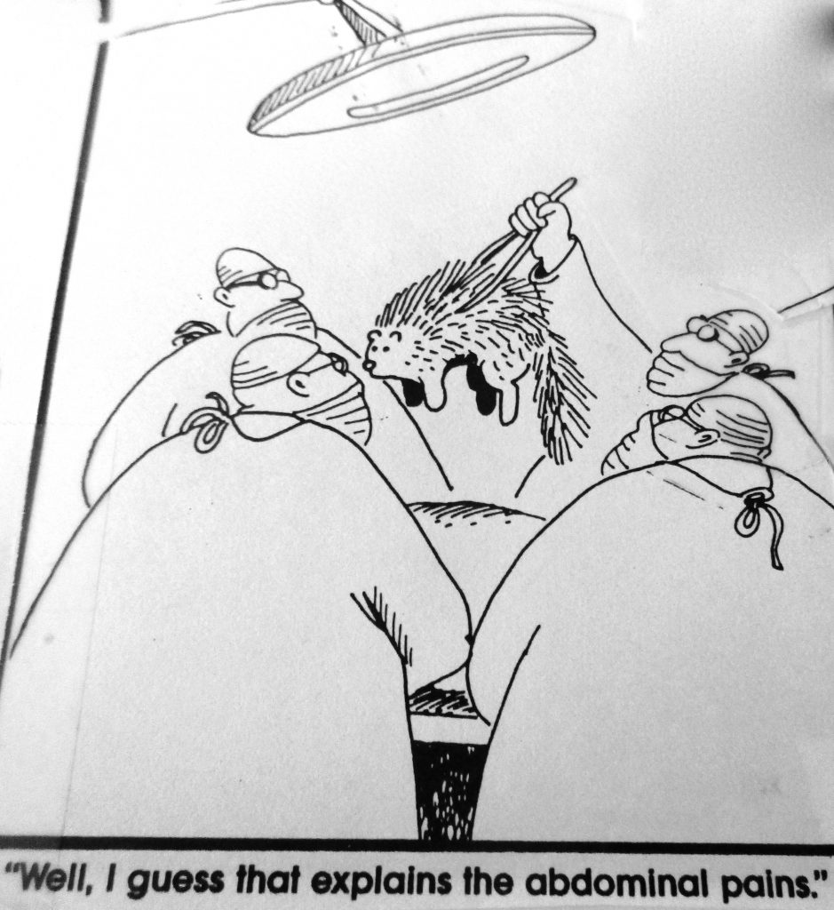Cartoon Well I Guess that Explains the AbdominalPains