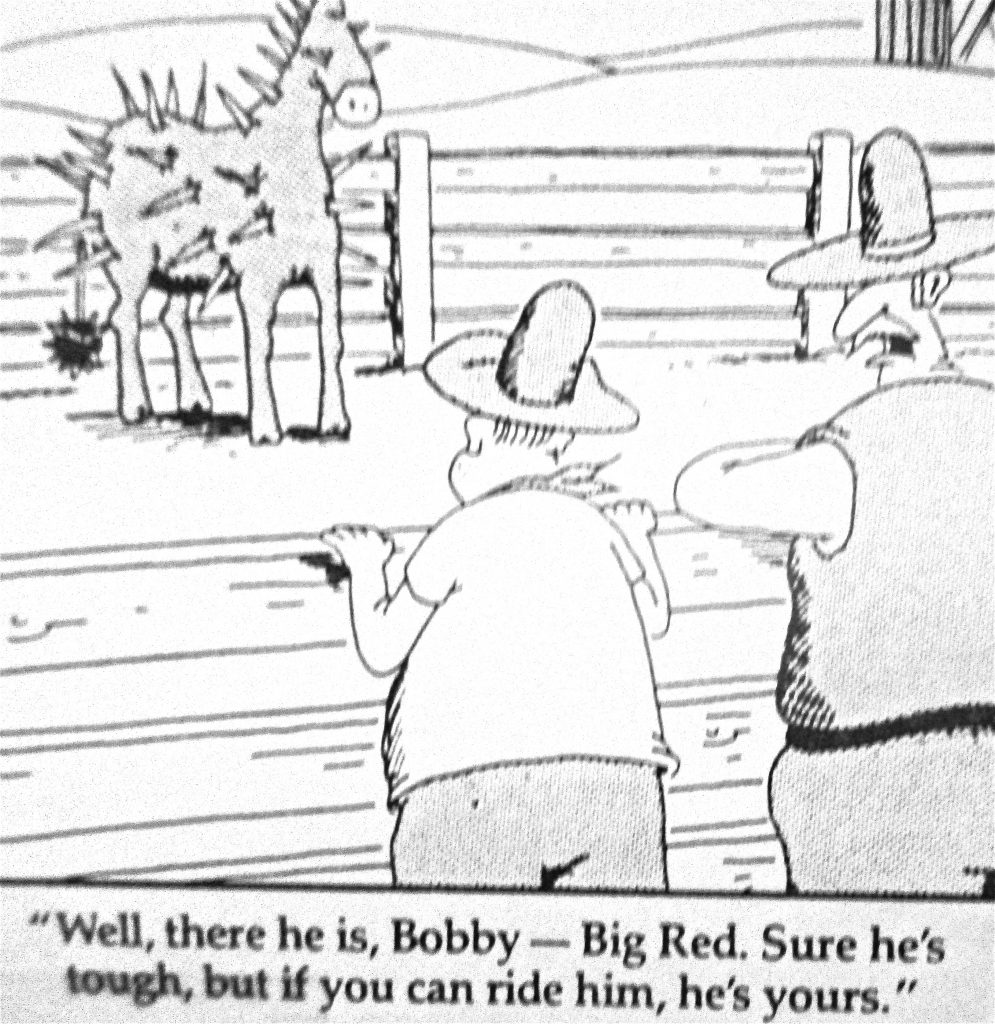 Cartoon Welll There He Is Bobby Big Bad Sure Hes Tough But If You Can Ride Him Hes Yours
