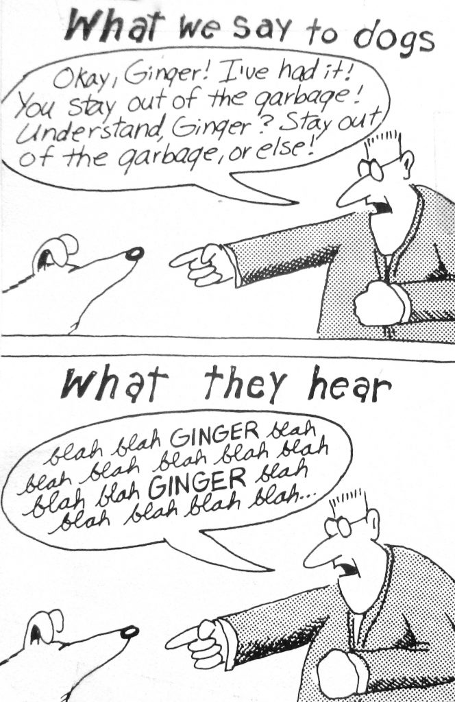 Cartoon What We Stay To Dog What The Hear