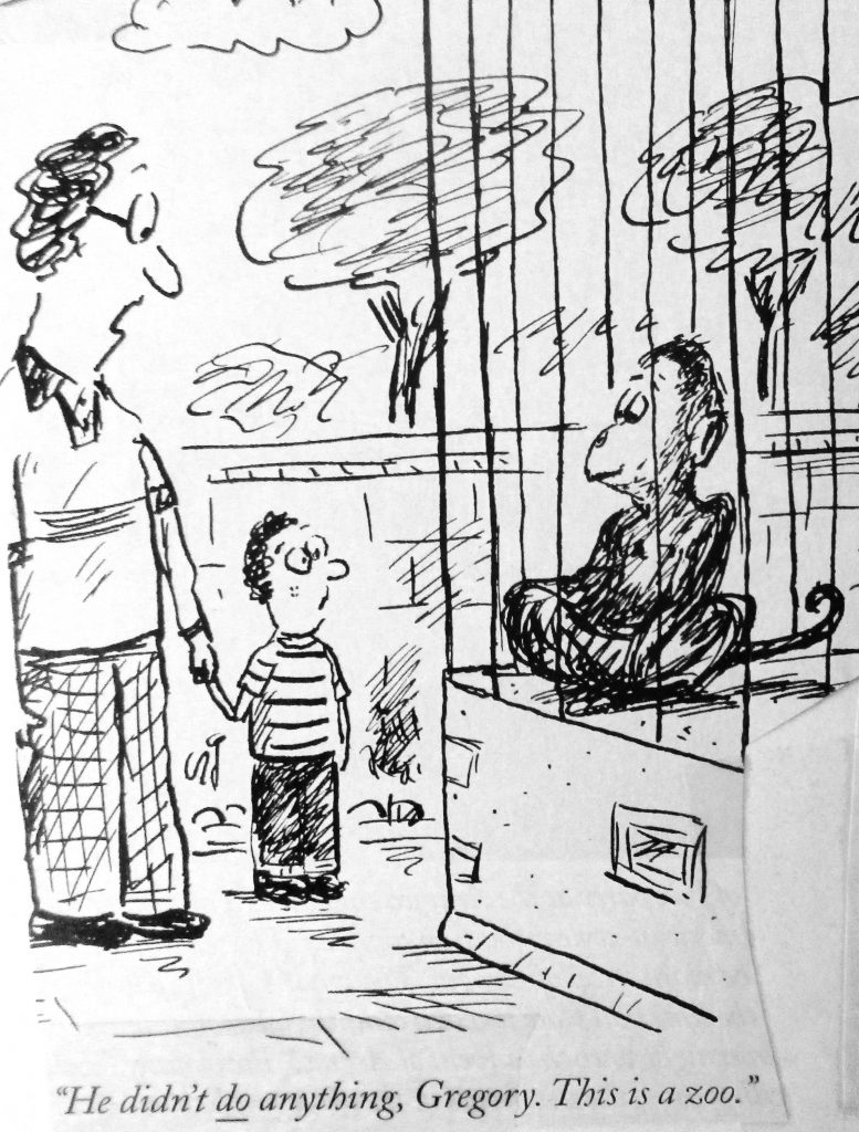 Cartoon he didnt Do Anything Gregory This Is A Zoo