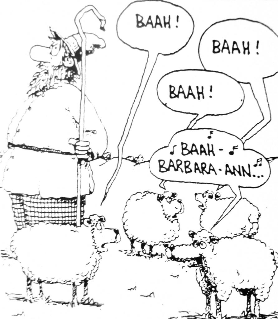 Cartoon sheeps