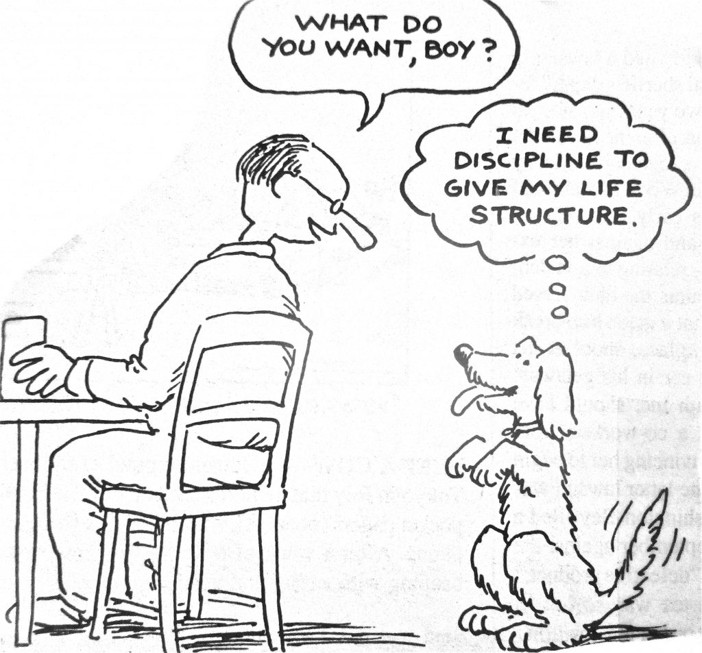 Cartoon what do you want boy i need discipline to give my life structure