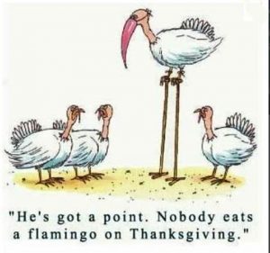 turkey3