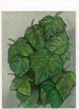 <p>Artwork - By Rosie Rinsler</p>