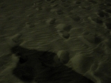 <h5>In Shadow</h5>