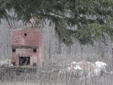 <h5>Abandoned</h5><p>Abandoned Photography - By Melissa R Mendelson																	</p>