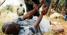 <h5>The War On Elephant Poachers</h5><p>An elephant poacher being arrested by African authorities.</p>