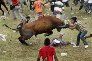 gored to death at bullfight