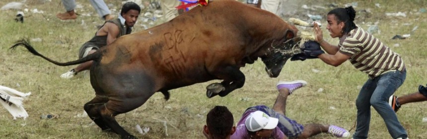 gored to death at bullfight